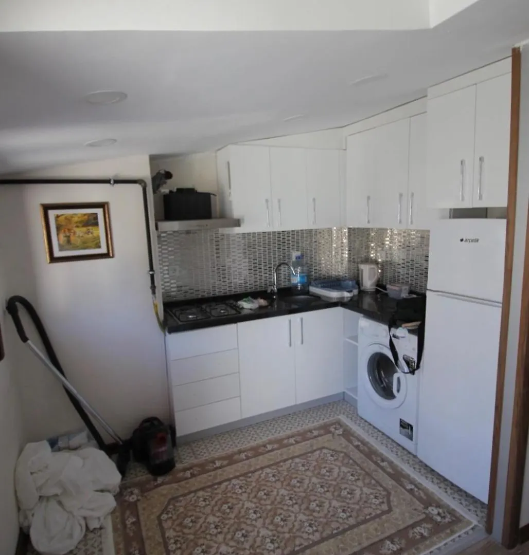 Mutlu Terrace Apartment Istanbul